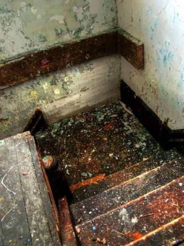 Dodge the Bullet - Bracebridge, Ontario