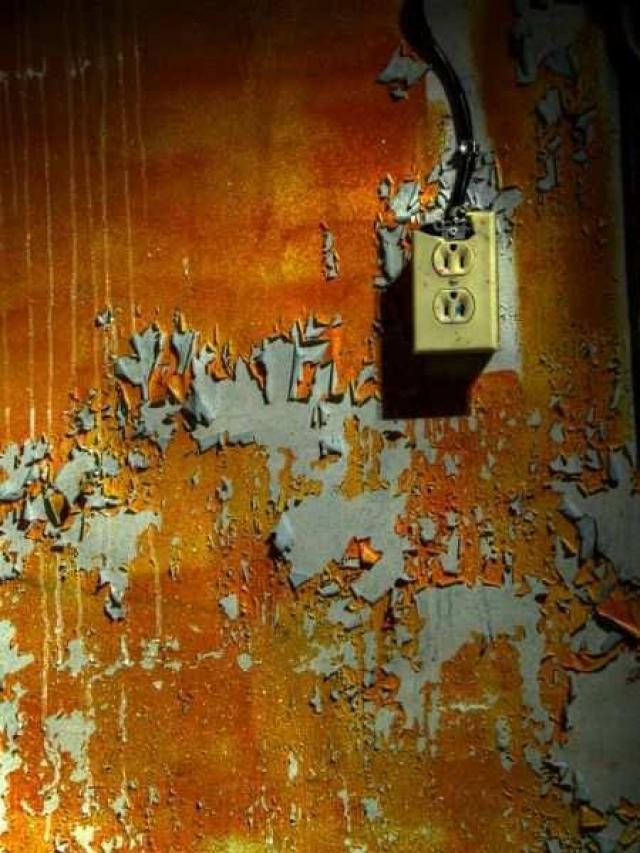 Dodge the Bullet photo 2