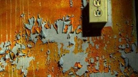 Dodge the Bullet photo 2