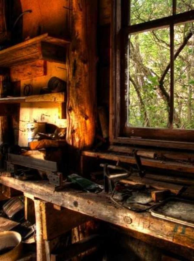 Dodge the Bullet photo 3