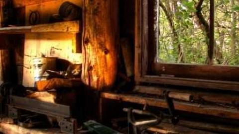 Dodge the Bullet photo 3