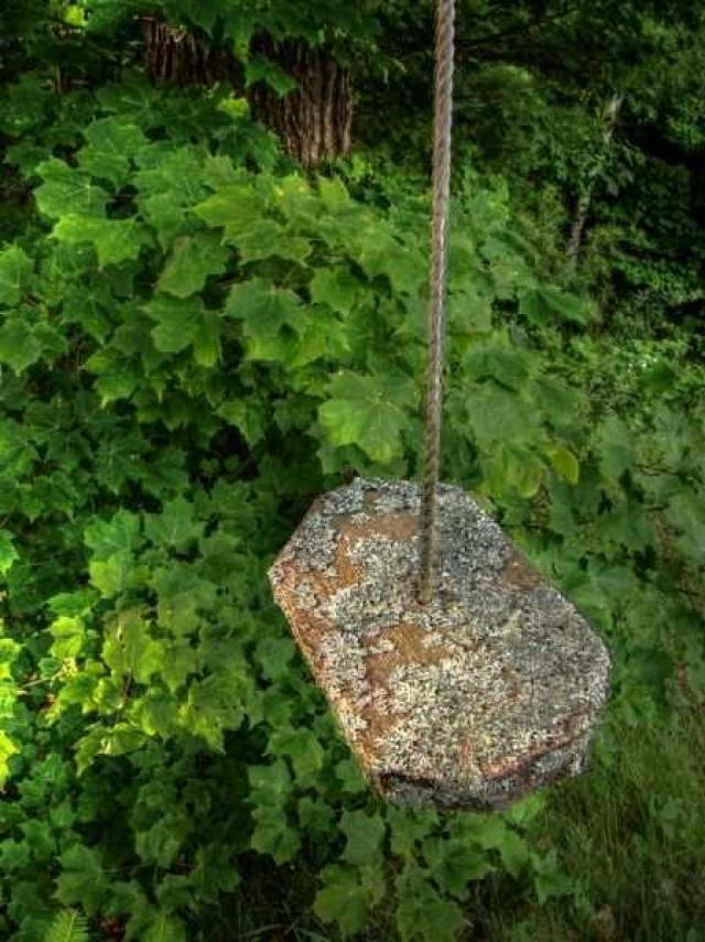 Dodge the Bullet photo 4