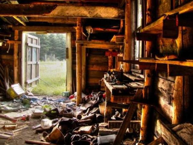 Dodge the Bullet photo 5