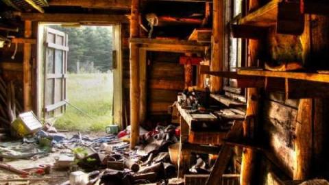 Dodge the Bullet photo 5