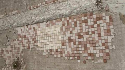 Scouting the plant  - Dynamotive-Plant31.jpg