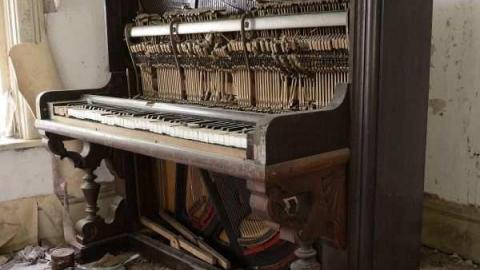 Catherine's Farm photo 5