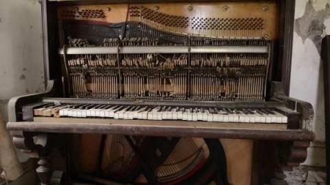 June 2012 - Catherines-Farm137.jpg