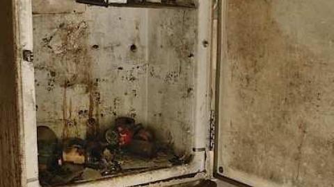 June 2012 - Catherines-Farm146.jpg