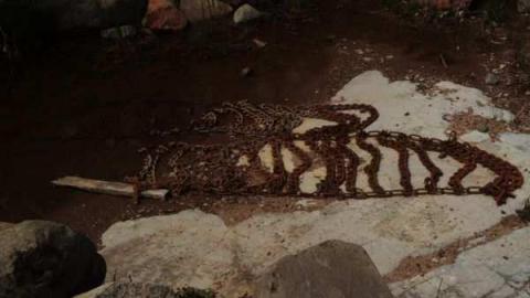 Ruby Lake Marble - Ruby-Lake-Marble-Quarry7.jpg