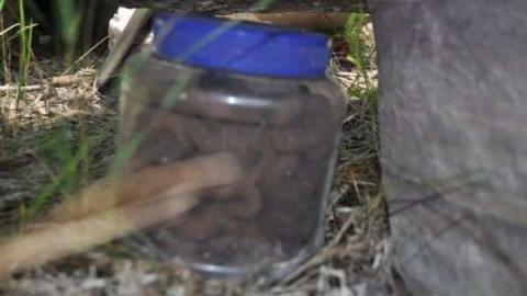 Ruby Lake Marble - Ruby-Lake-Marble-Quarry11.jpg