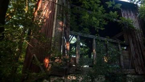 A.M. Ross Farm photo 2