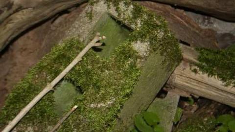 A.M. Ross cattle farm - A.M.-Ross-Farm35.jpg