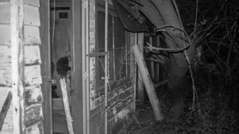 A.M. Ross Farm - London, Ontario