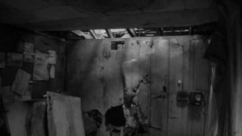 A.M. Ross cattle farm - A.M.-Ross-Farm37.jpg