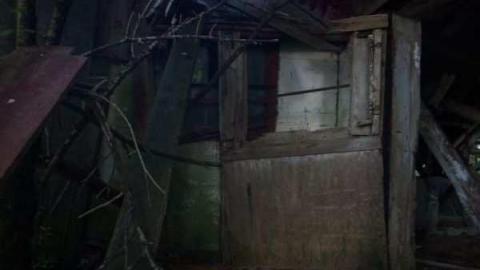 A.M. Ross Farm photo 4