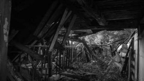 A.M. Ross cattle farm - A.M.-Ross-Farm28.jpg