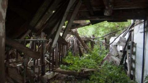 A.M. Ross cattle farm - A.M.-Ross-Farm40.jpg