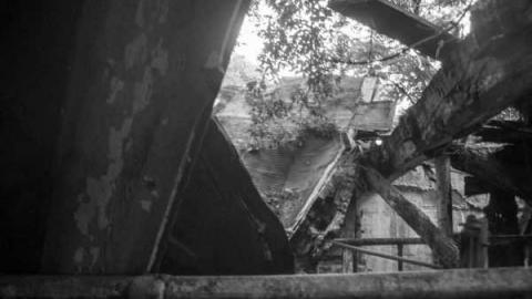 A.M. Ross Farm photo 3