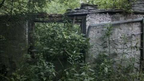 A.M. Ross Farm photo 5