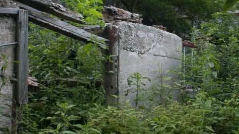 A.M. Ross cattle farm - A.M.-Ross-Farm30.jpg