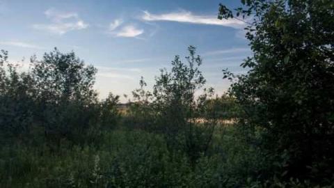 A.M. Ross cattle farm - A.M.-Ross-Farm42.jpg