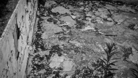 Evening at the old Mansion - Neglected-Manor288.jpg