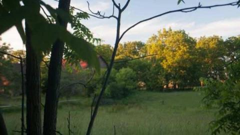 Evening at the old Mansion - Neglected-Manor290.jpg