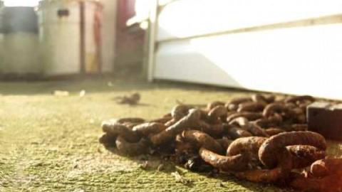 Riverboat Inn - Riverboat-Inn-(Demolished)18.jpg