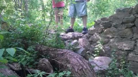 Ruins - Meadowlily-Mill2.jpg