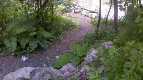 Ruins - Meadowlily-Mill5.jpg