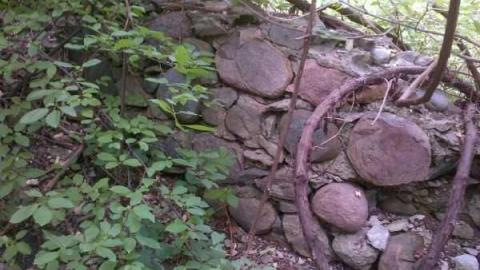 Ruins - Meadowlily-Mill10.jpg