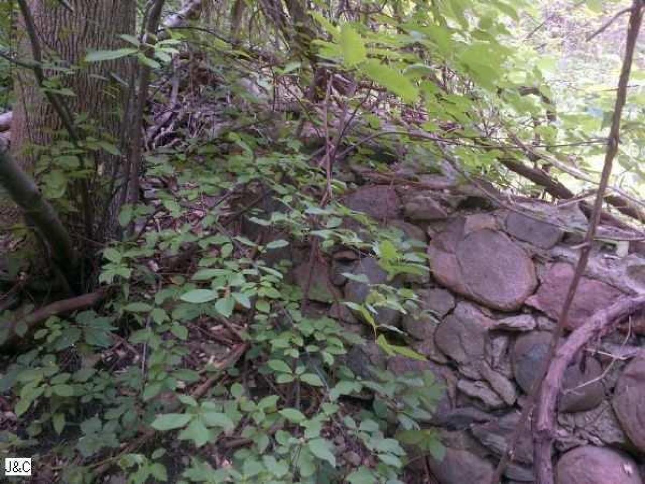 Ruins - Meadowlily-Mill12.jpg