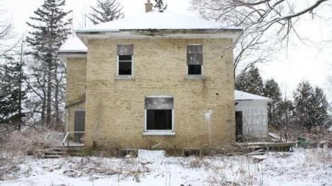 jeremiah's - Jeremiahs-Field8.jpg