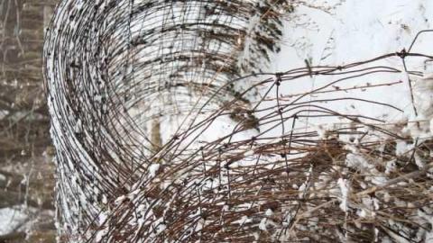 Photo from jeremiah's