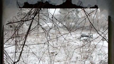 jeremiah's - Jeremiahs-Field15.jpg