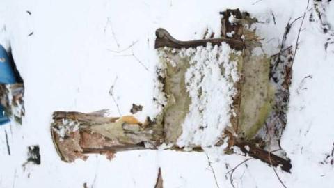 Photo from jeremiah's