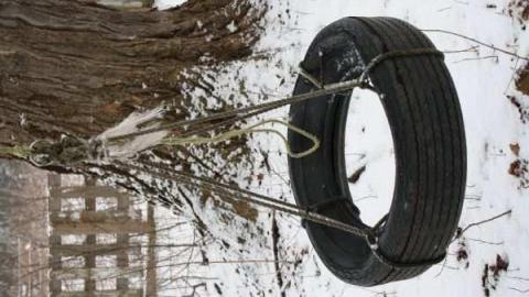 jeremiah's - Jeremiahs-Field19.jpg