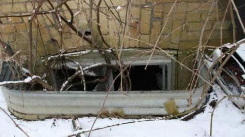 jeremiah's - Jeremiahs-Field20.jpg