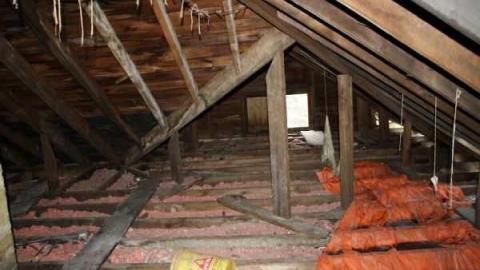 jeremiah's - Jeremiahs-Field21.jpg