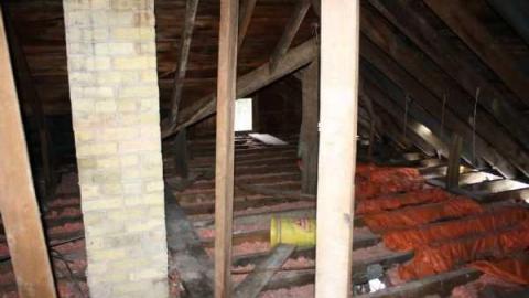 jeremiah's - Jeremiahs-Field22.jpg