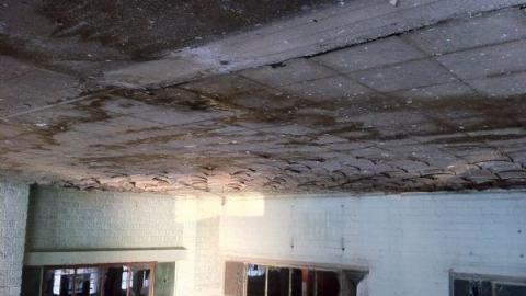 Harvey Woods photo 5