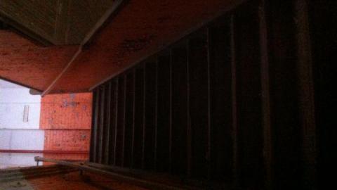 Harvey Woods photo 4