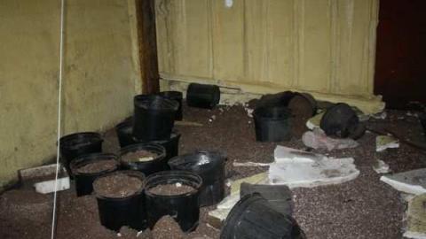 Ex-Cell-O Factory photo 4