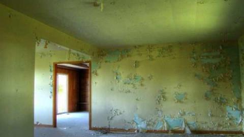 House 2 - 3-X-27--8116.jpg