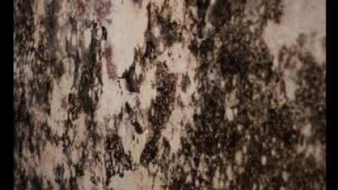 Musical Chairs - 131.jpg