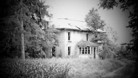 Steaksauce Photography - Catherines-Farm13.jpg