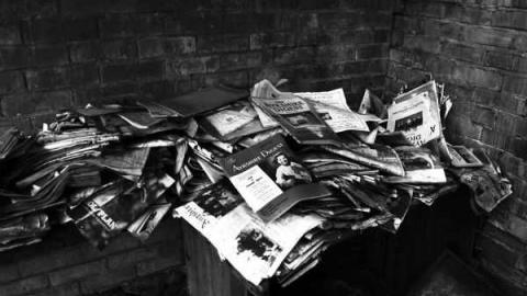 Steaksauce Photography - Catherines-Farm20.jpg