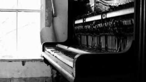 Steaksauce Photography - Catherines-Farm14.jpg