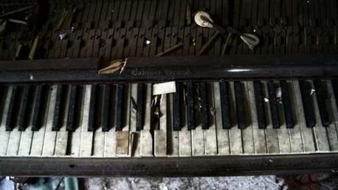 Steaksauce Photography - Catherines-Farm17.jpg