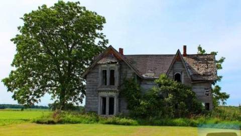 Highway Distraction - O.A.P. loc Rond 003licowm.jpg